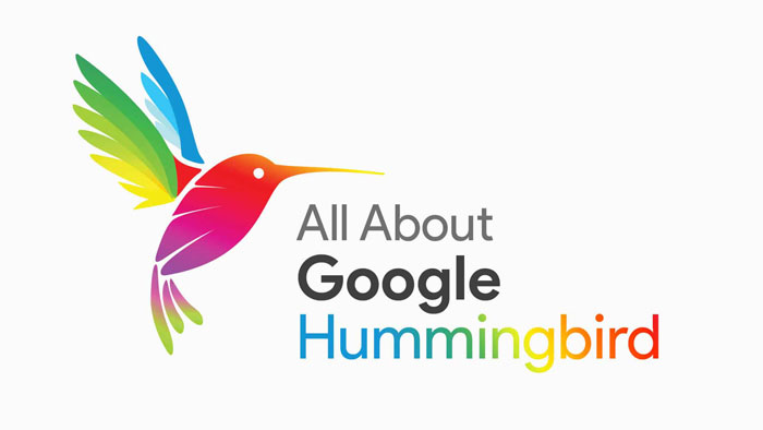 Google-Hummingbird-Algorithm