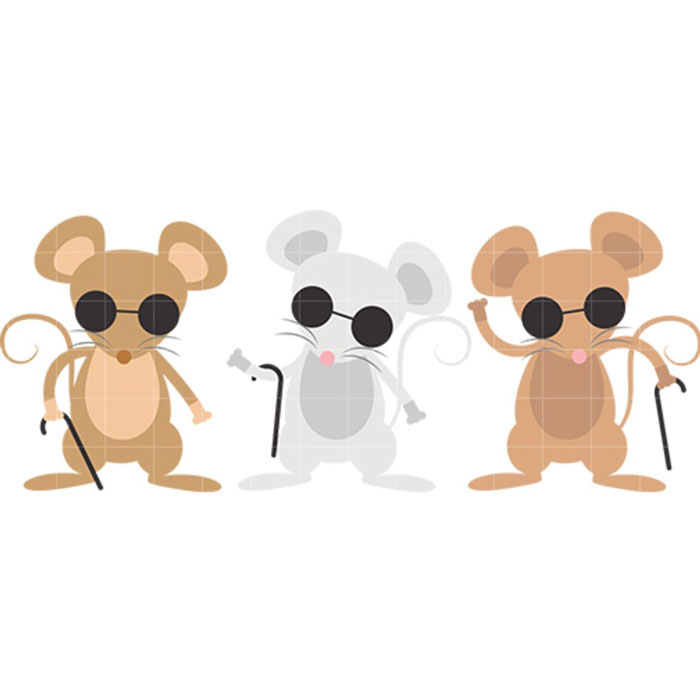 Google's-Blind-Mouse-Algorithm